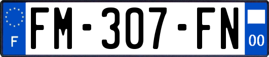 FM-307-FN