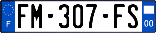 FM-307-FS