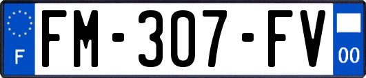 FM-307-FV