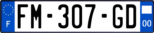 FM-307-GD