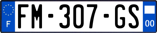 FM-307-GS