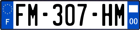 FM-307-HM