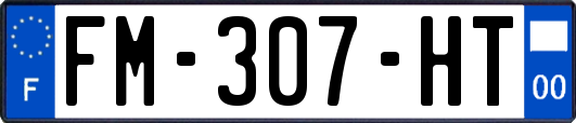 FM-307-HT