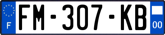 FM-307-KB