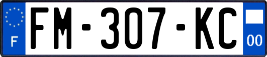 FM-307-KC