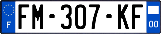 FM-307-KF