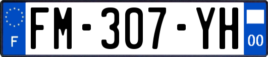FM-307-YH