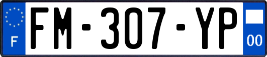 FM-307-YP
