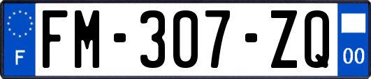 FM-307-ZQ