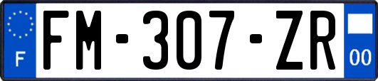 FM-307-ZR