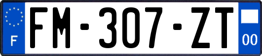 FM-307-ZT