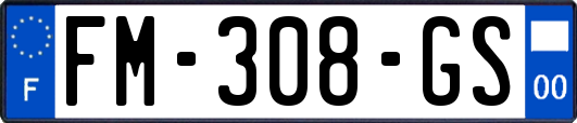 FM-308-GS