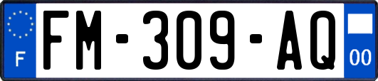 FM-309-AQ