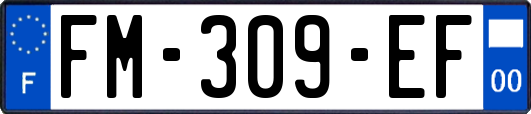 FM-309-EF