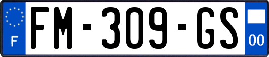 FM-309-GS