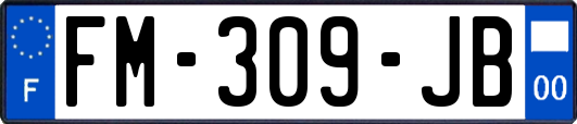 FM-309-JB