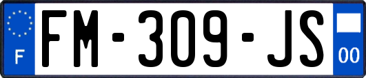 FM-309-JS