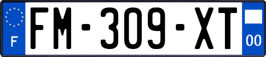 FM-309-XT