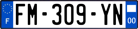 FM-309-YN