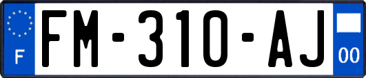 FM-310-AJ