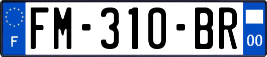 FM-310-BR
