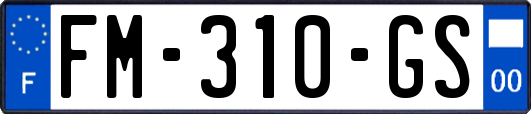 FM-310-GS