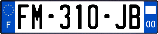 FM-310-JB
