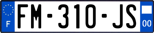 FM-310-JS