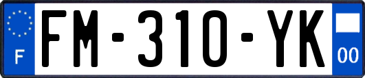 FM-310-YK