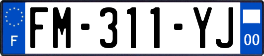 FM-311-YJ