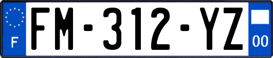 FM-312-YZ
