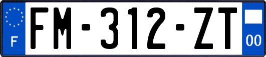 FM-312-ZT