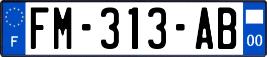 FM-313-AB