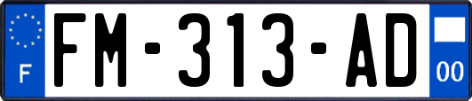 FM-313-AD