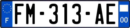FM-313-AE