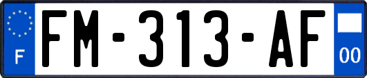 FM-313-AF