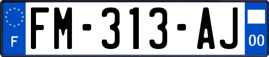 FM-313-AJ