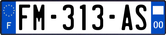 FM-313-AS