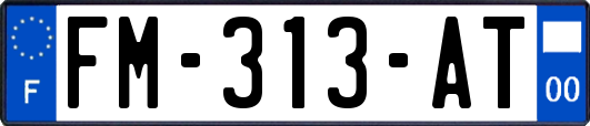 FM-313-AT