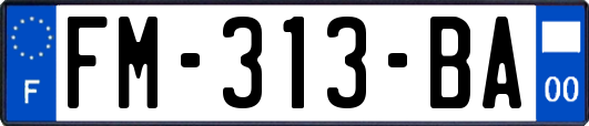 FM-313-BA