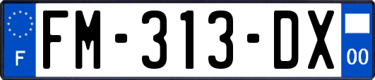 FM-313-DX