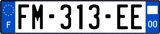 FM-313-EE