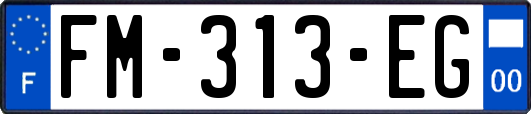 FM-313-EG