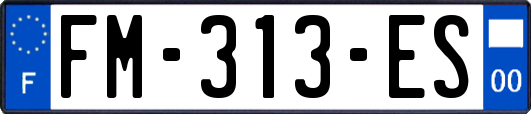 FM-313-ES