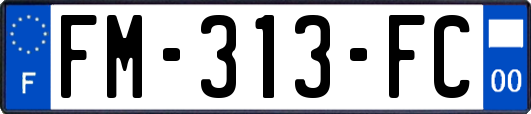 FM-313-FC