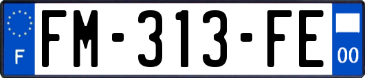 FM-313-FE