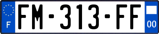 FM-313-FF