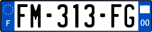 FM-313-FG