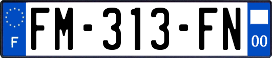FM-313-FN