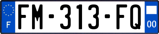 FM-313-FQ